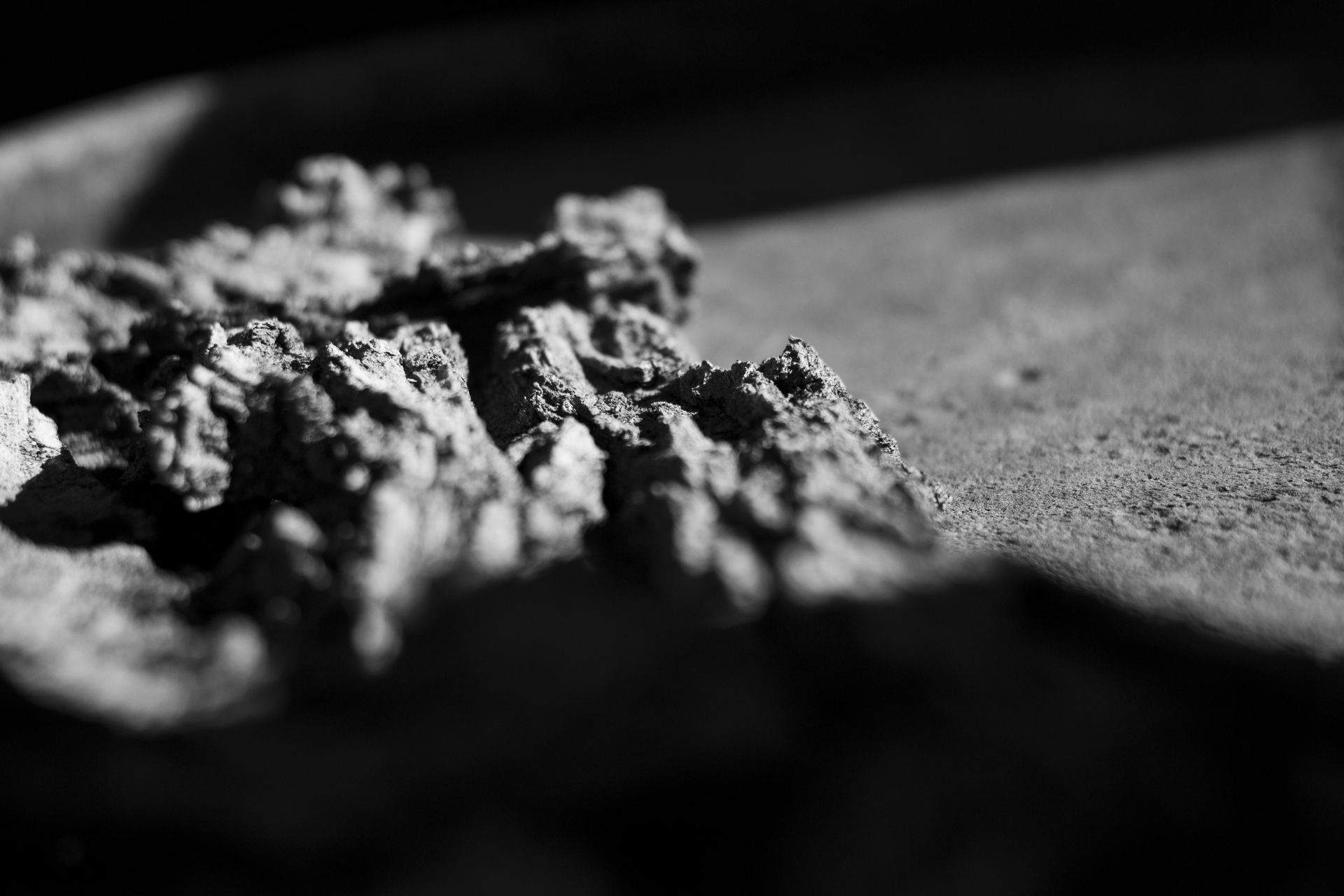 Charcoal laying on the ground