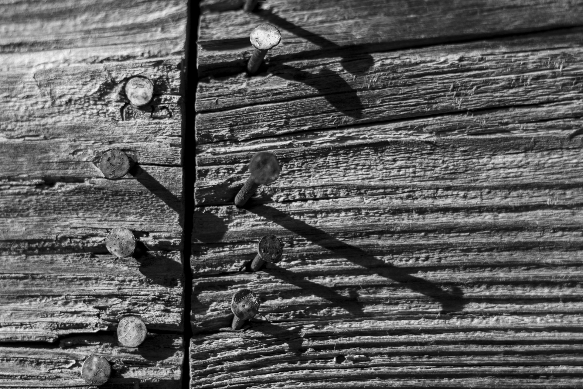 Rusty nails in a wooden wall